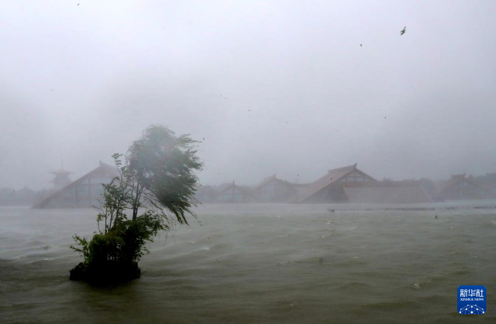 臺(tái)風(fēng)“貝碧嘉”登陸上海